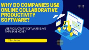 Why Do Companies Use Online Collaborative Productivity Software?